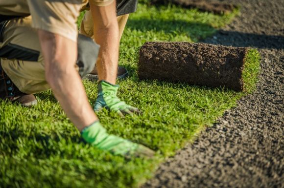 turf landscaping being cared by Bunbury Landscaping
